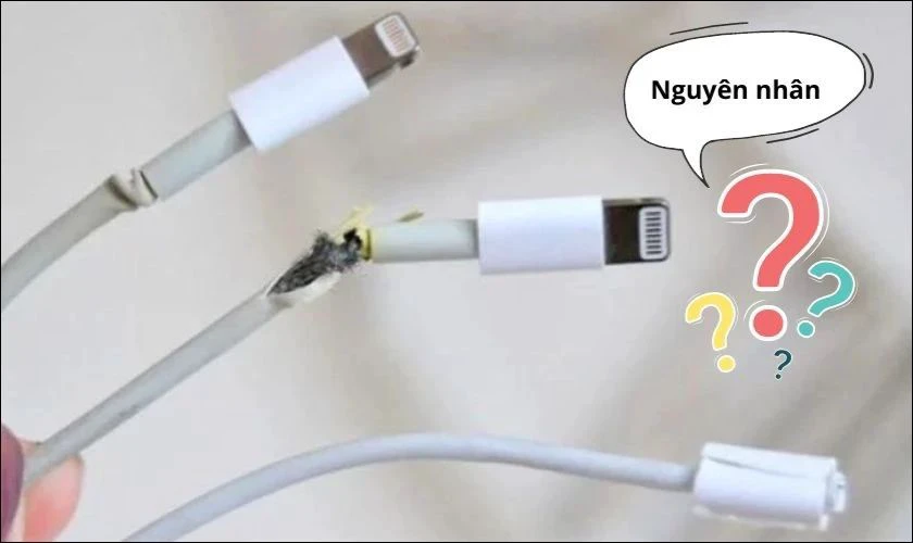 Kiểm tra lại bộ sạc đảm bảo nguyên vẹn không đứt gãy
