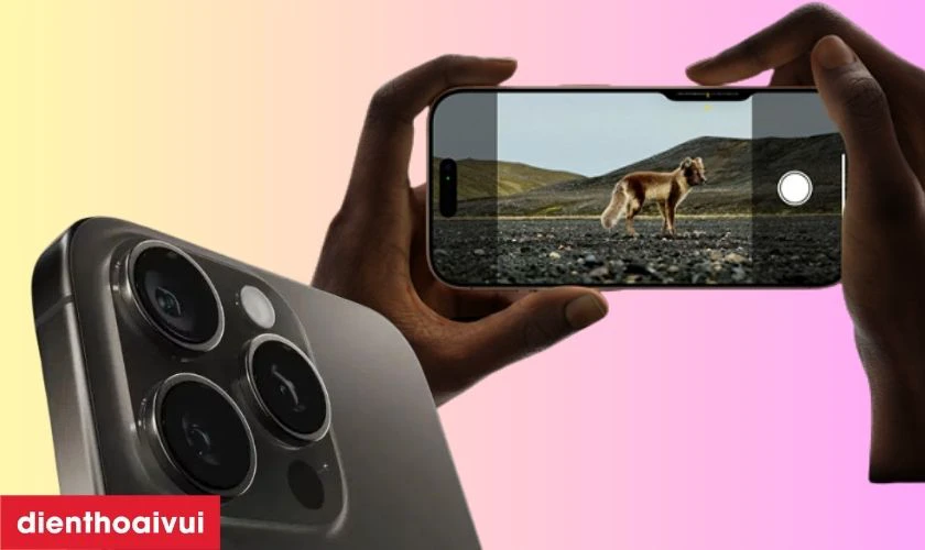 Hệ thống camera