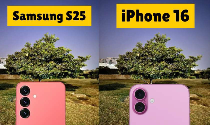 iPhone 16 vs Samsung S25 camera