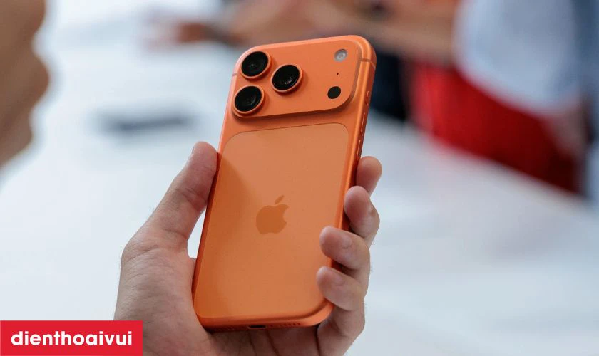 Thiết kế và hoàn thiện cao cấp