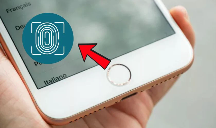 iPhone 8 có Touch ID không?