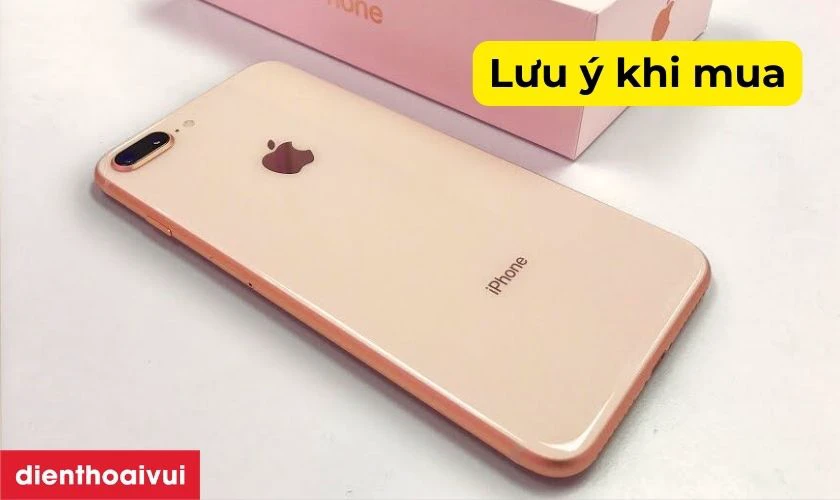 Những lưu ý khi mua
