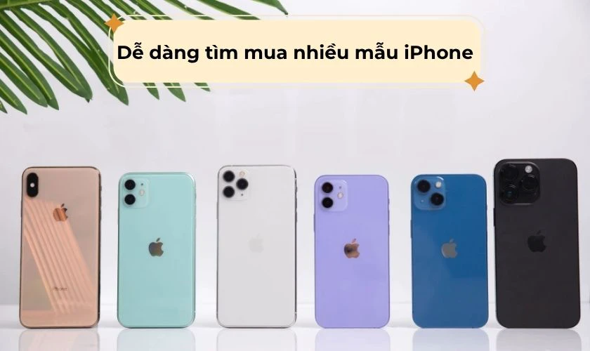 Trên thị trường có rất nhiều mẫu iPhone cũ từ đời thấp đến cao
