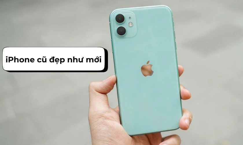 iPhone cũ đẹp như mới là loại máy giữ ngoại hình gần như hoàn hảo