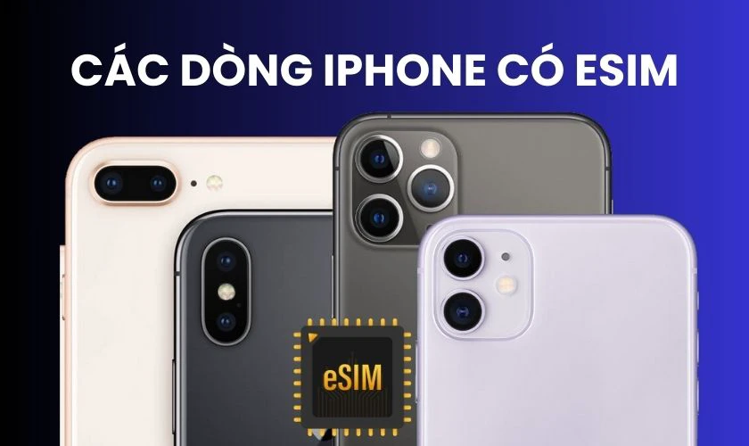 iPhone có hỗ trợ eSIM trên thị trường