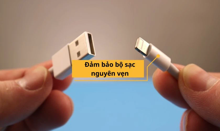 Kiểm tra bộ sạc, xác định nguyên nhân khiến iPhone của bạn sạc không thành công