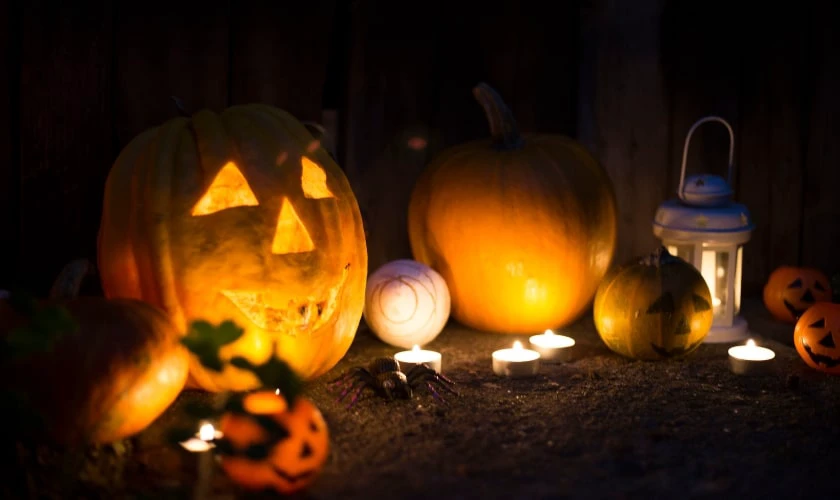 Trang trí sân khấu Halloween với đèn led nhiều màu sắc