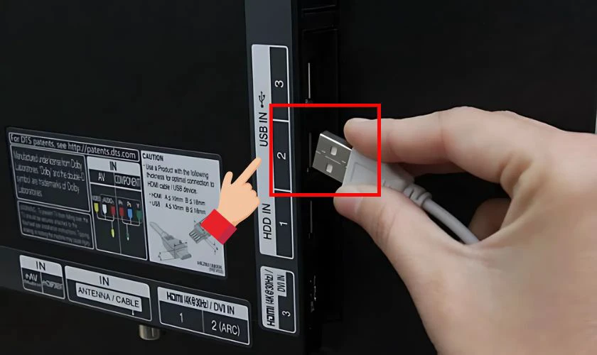 Kết nối một đầu vào laptop và đầu còn lại vào cổng USB trên tivi