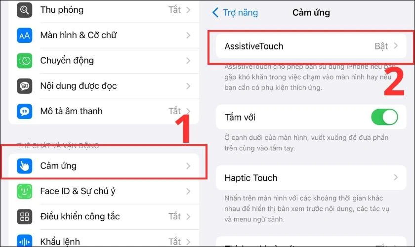 Vào phần Cảm ứng trên thiết bị, chọn mục AssistiveTouch