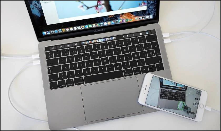 Khôi phục ảnh đã xóa vĩnh viễn trên iCloud bằng Finder