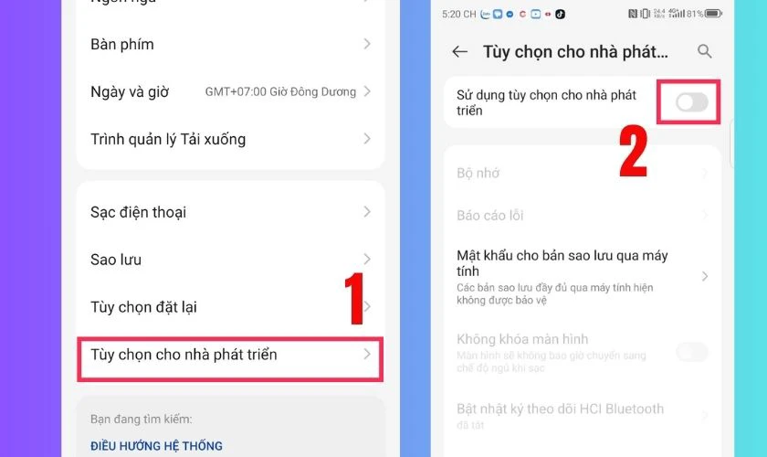 Tắt chế độ Tùy chọn nhà phát triển