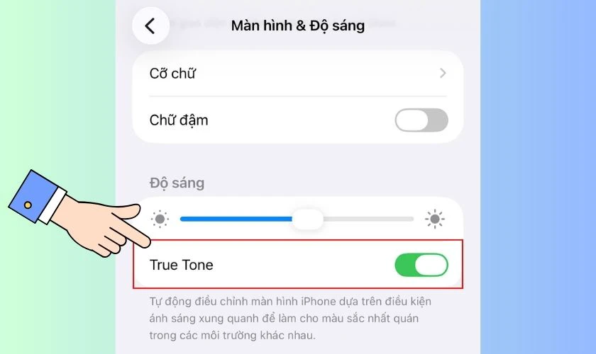 Cách kiểm tra màn hình iPhone đã thay chưa qua True Tone