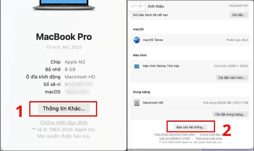 Chọn mục Thông tin khác và nhấn System Report