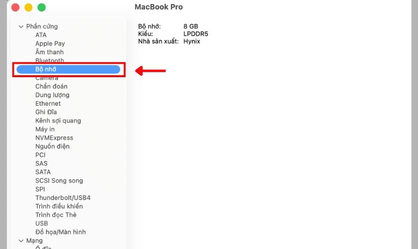 Chọn mục Memory (Bộ nhớ) để kiểm tra thông tin