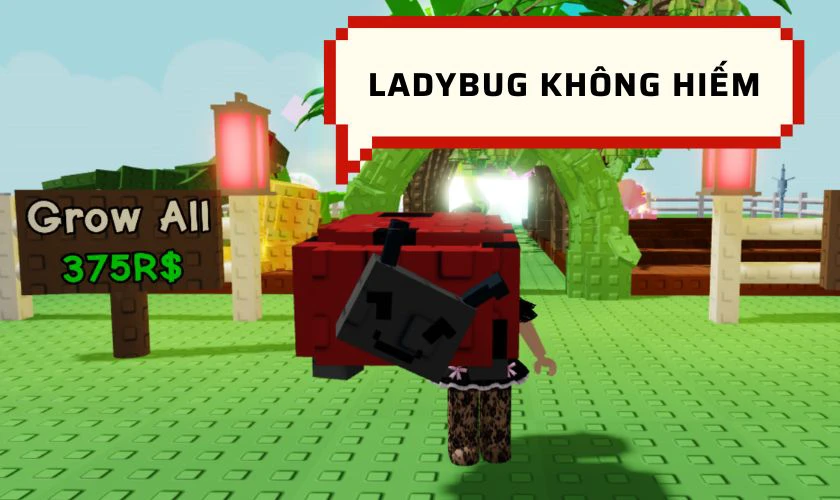 Ladybug là một trong những pet phổ biến được xếp vào nhóm Common