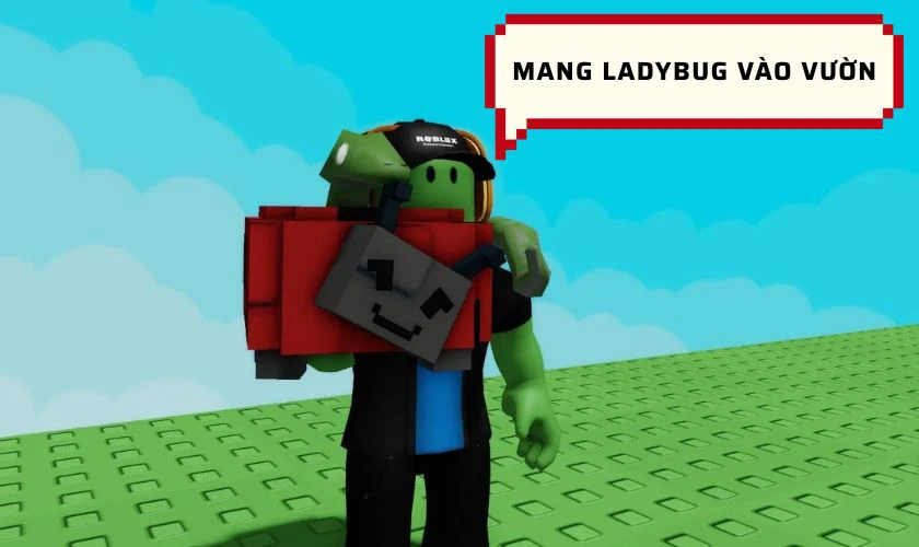 Trang bị Ladybug vào vườn
