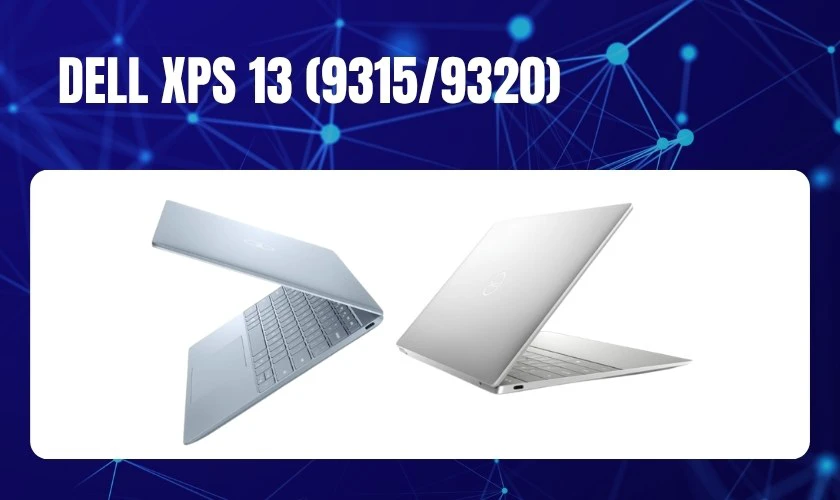 15 laptop cho sinh viên nữ