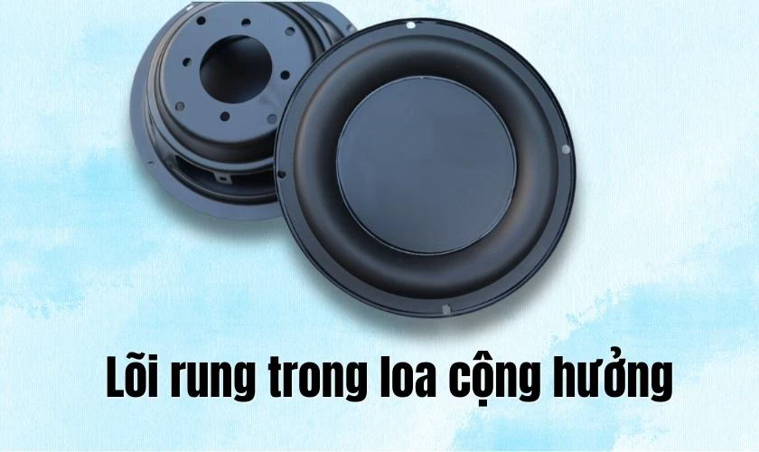 Cấu tạo của loa cộng hưởng