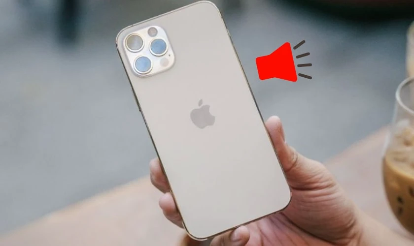 Loa iPhone 12 Pro Max bị rè
