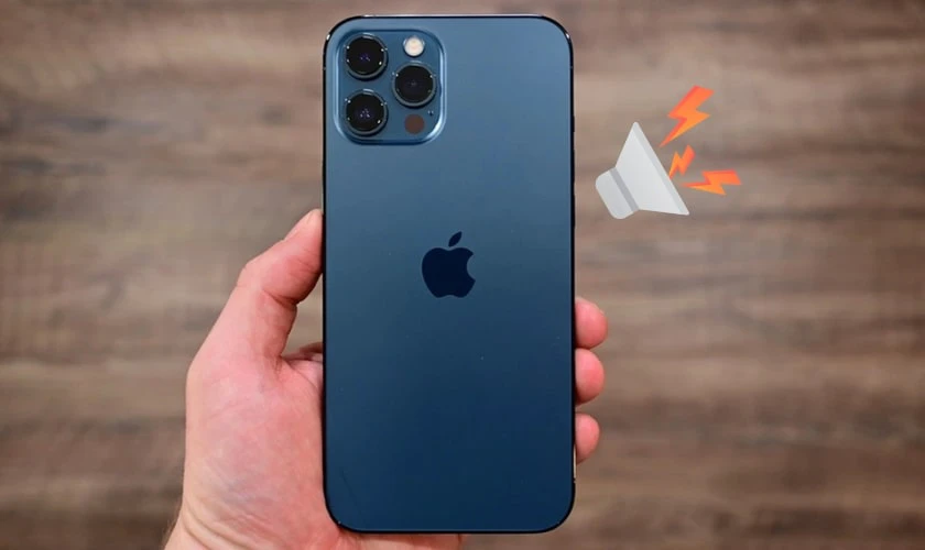 Dấu hiệu loa iPhone 12 Pro Max bị rè