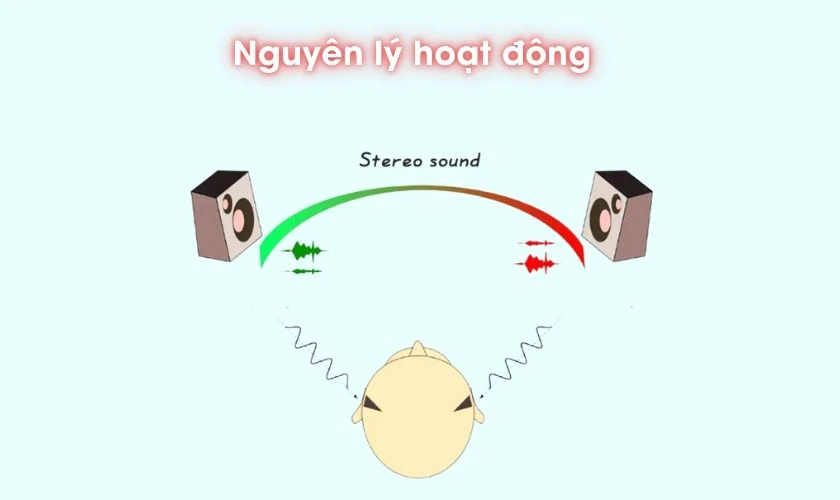 Nguyên lý hoạt động của loa kép là gì?