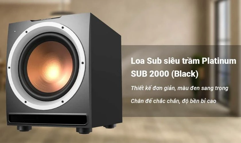 Loa Super bass Paramax 2000