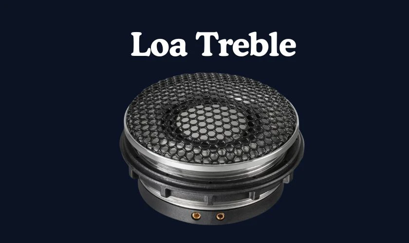 Loa treble là gì?