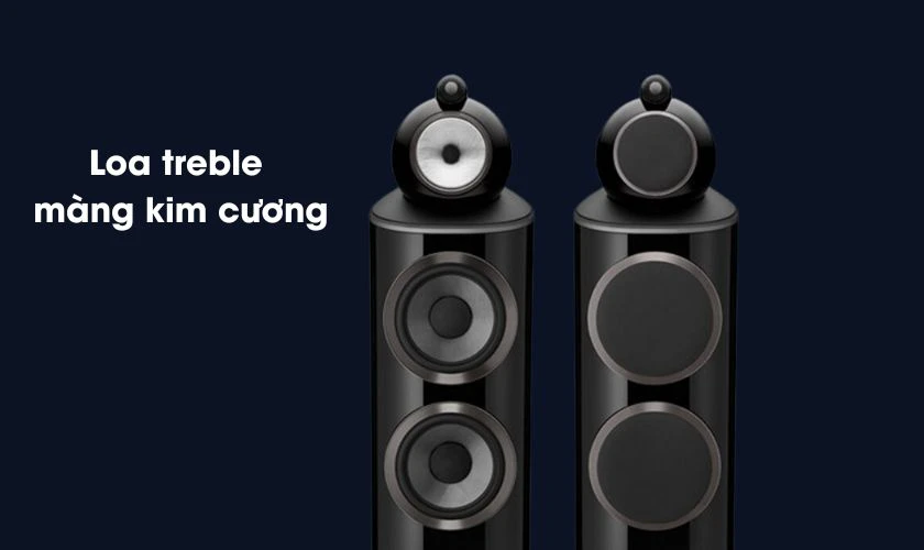 Loại loa treble màng kim cương