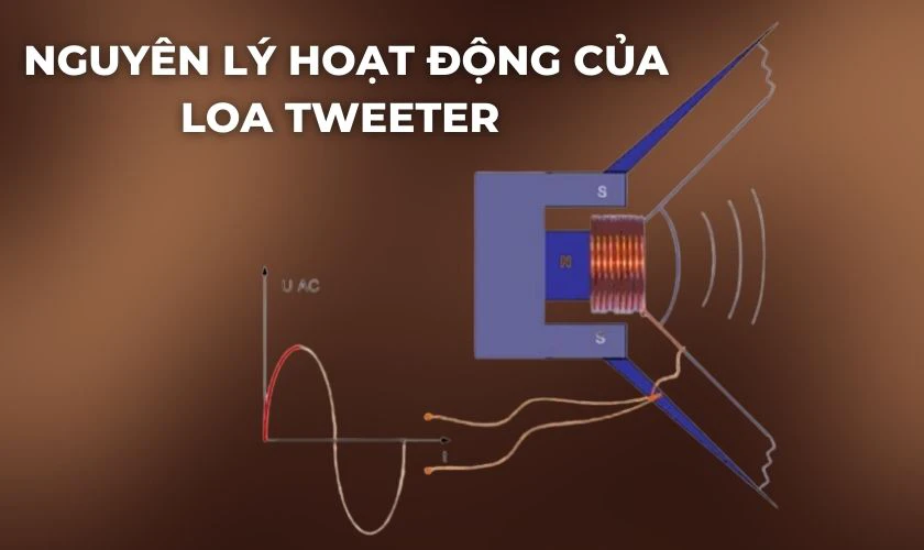 Nguyên lý hoạt động của loa tweeter là gì