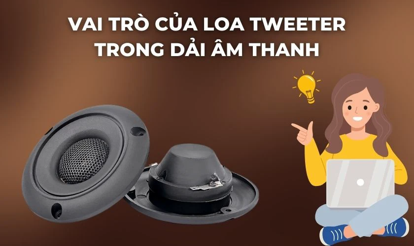 Vai trò của loa tweeter trong dải âm thanh