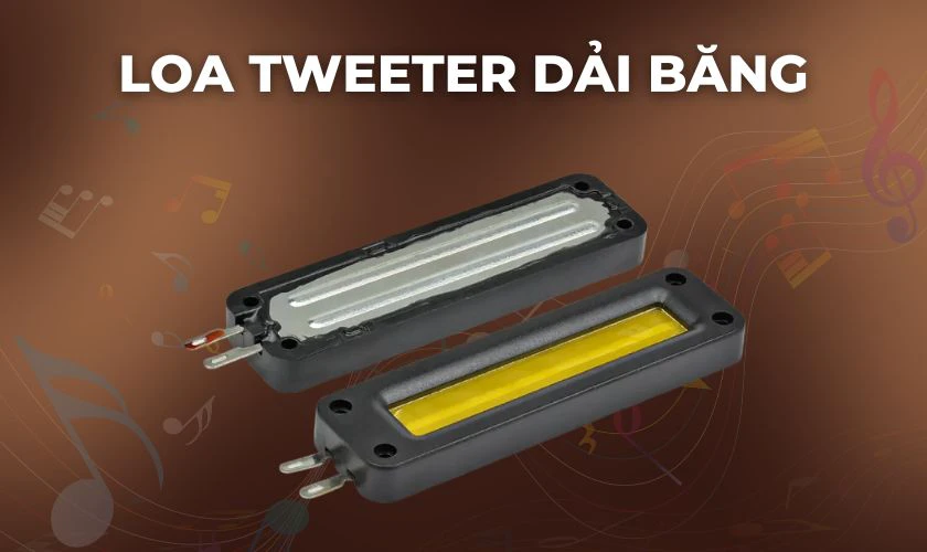 Loa tweeter dải băng