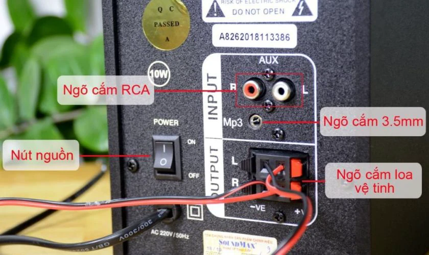 Cách kết nối và sử dụng loa vệ tinh