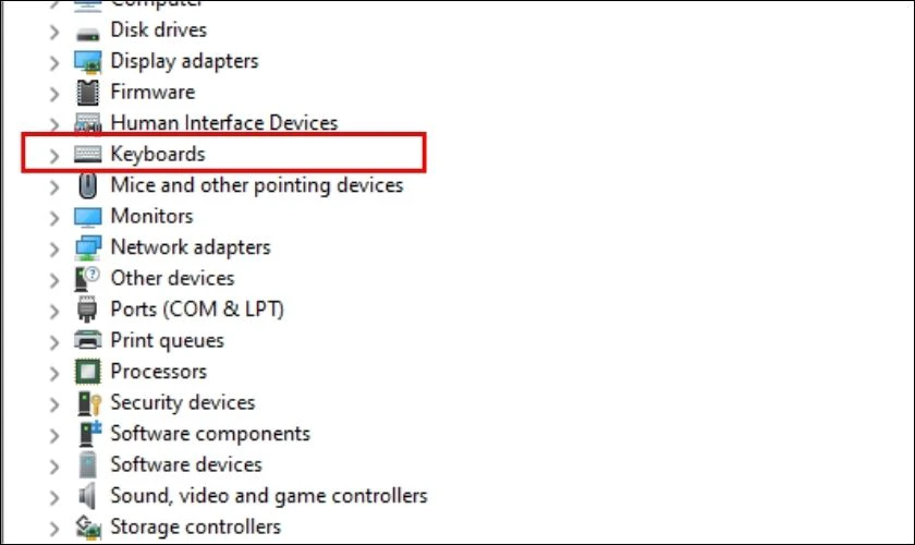 Trong Device Manager, tìm đến mục Keyboards và mở rộng nó