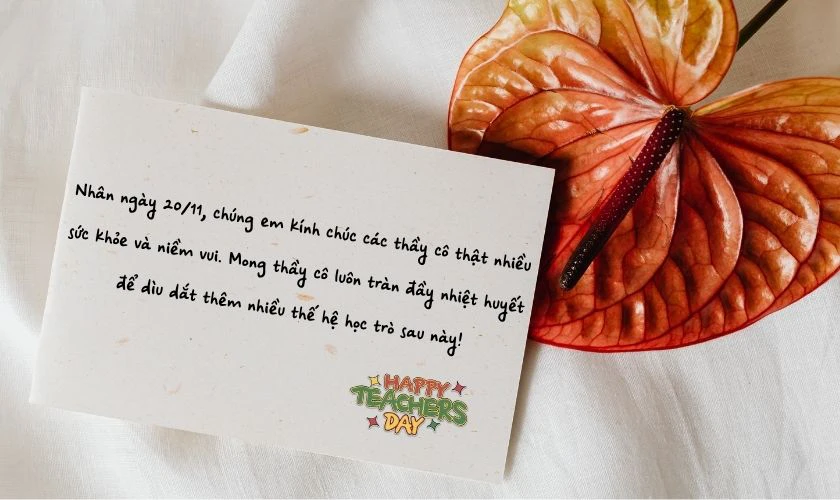 Lời cảm ơn thầy cô 20/11 của học sinh