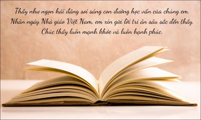 Lời chúc 20/11 ý nghĩa dành tặng thầy cô nhân ngày Nhà giáo Việt Nam