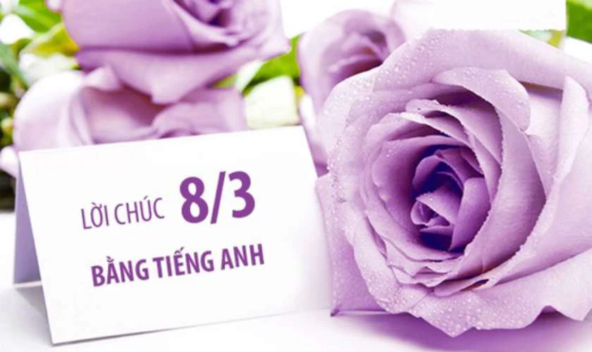 Lời chúc 8/3 tặng khách hàng nữ 2025 bằng tiếng Anh