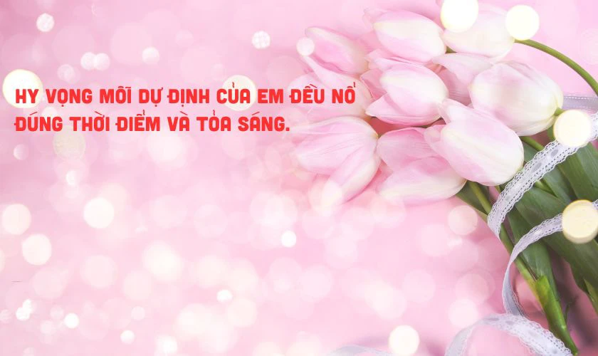 Lời chúc 8/3 cho người yêu cũ độc đáo