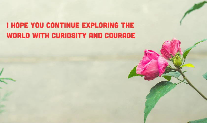 Lời chúc ngày 8/3 cho người yêu cũ bằng tiếng Anh