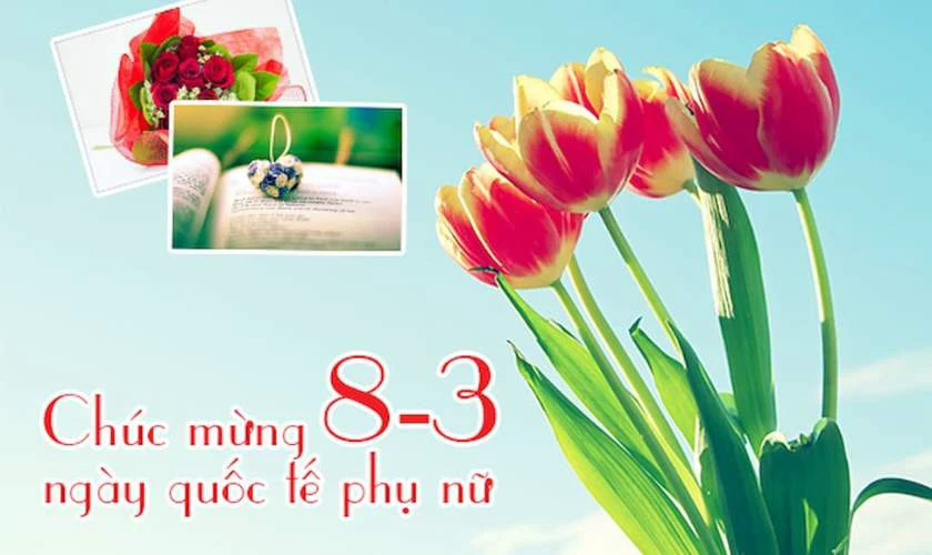 Lời chúc 8/3 cho dì ngắn gọn