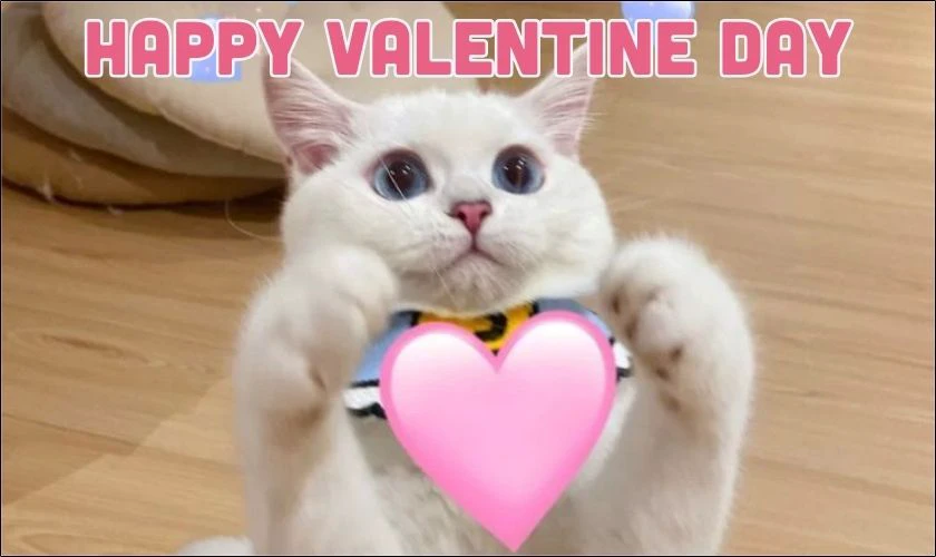 TOP những lời chúc Valentine cho người yêu hài hước nhất