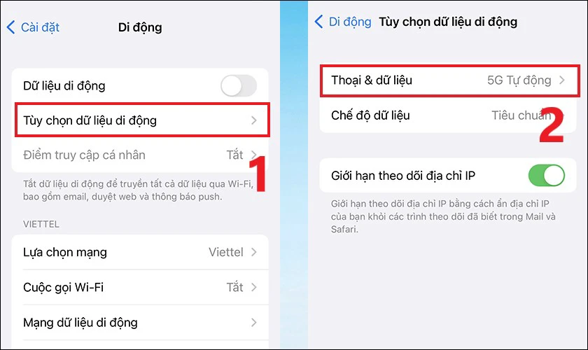 Nhấn Tùy chọn dữ liệu di động và chọn Thoại & dữ liệu