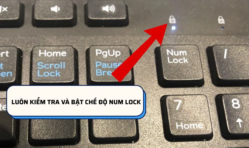 Cách hạn chế lỗi không đánh được số trên bàn phím laptop ASUS