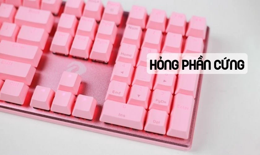 Bàn phím Lenovo không gõ được số cũng có thể do lỗi phần cứng