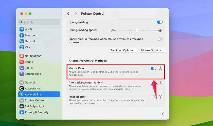 Lỗi không đánh được số trên bàn phím MacBook Air do Mouse Keys đang bật