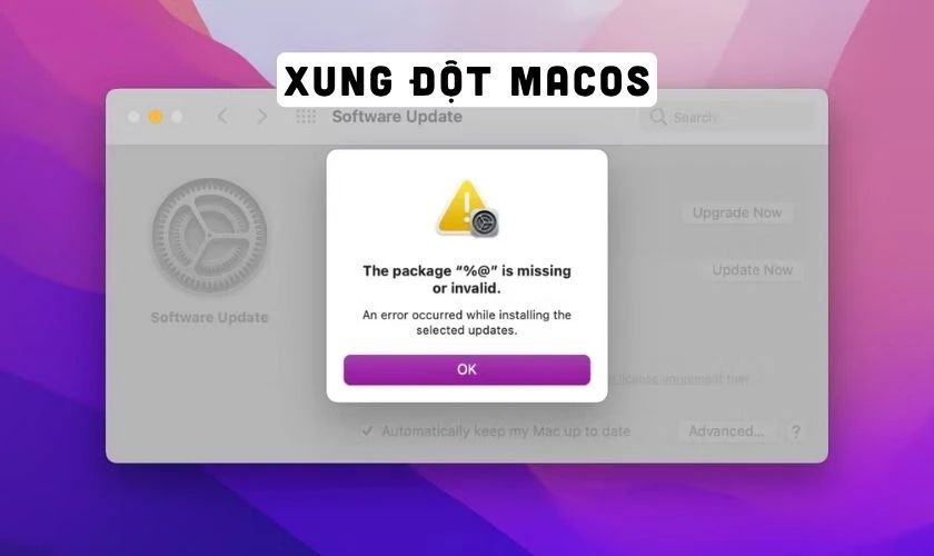 Lỗi phần mềm hoặc xung đột hệ điều hành