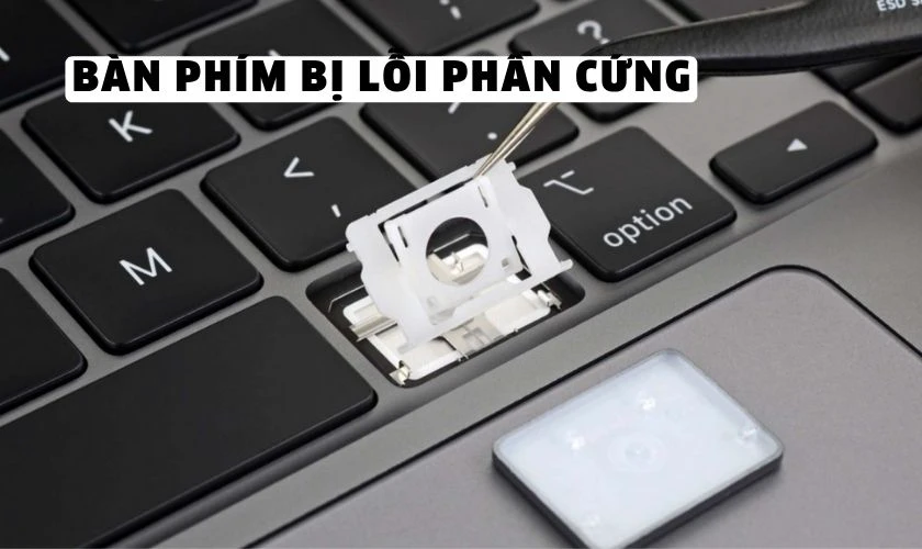 Bàn phím bị lỗi phần cứng (chập, kẹt phím, hư mạch)