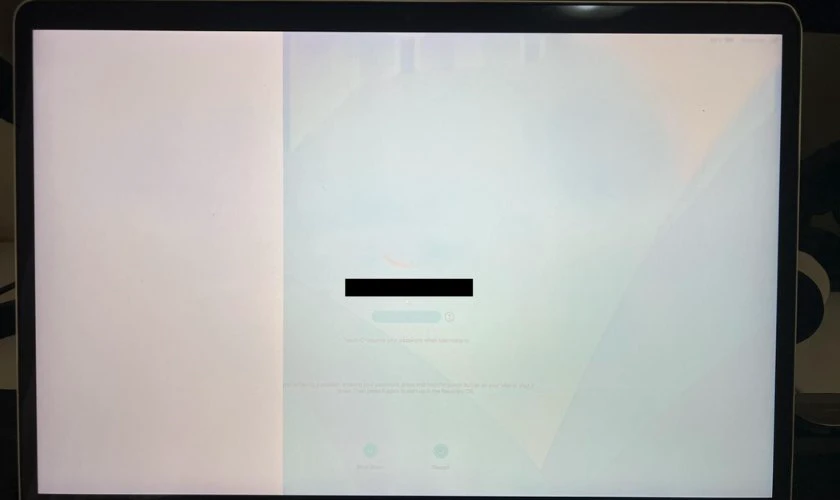Lỗi màn hình MacBook Pro 2017 bị ám xanh