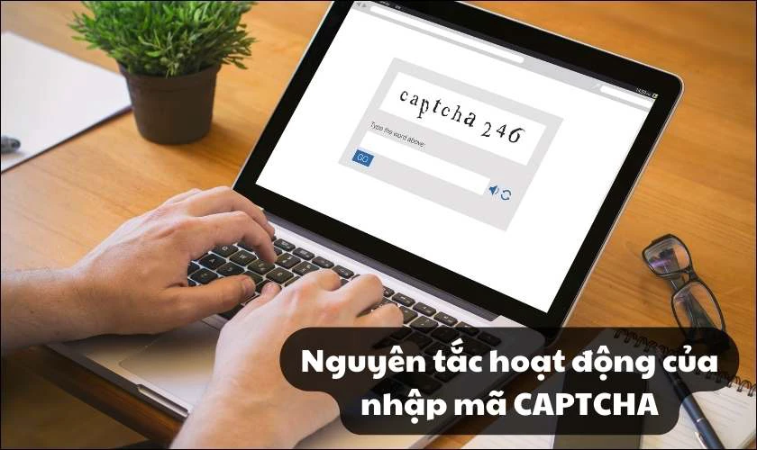 Nguyên tắc hoạt động của nhập mã CAPTCHA là gì?