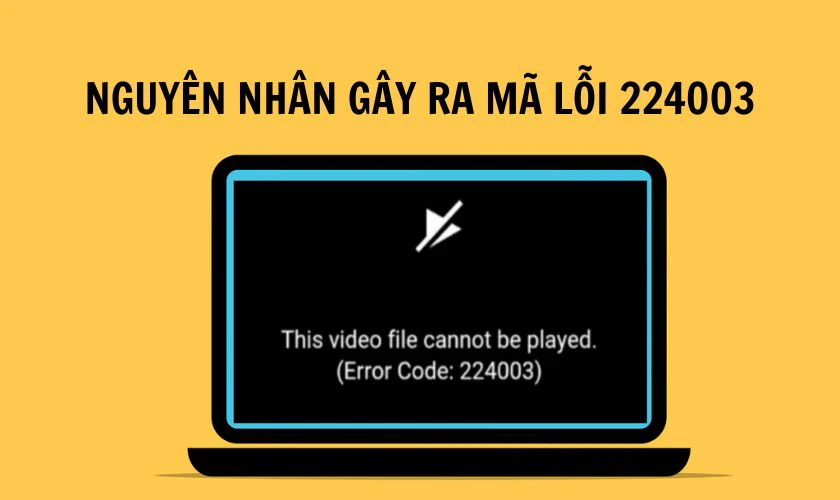 Nguyên nhân gây ra mã lỗi 224003 là gì?