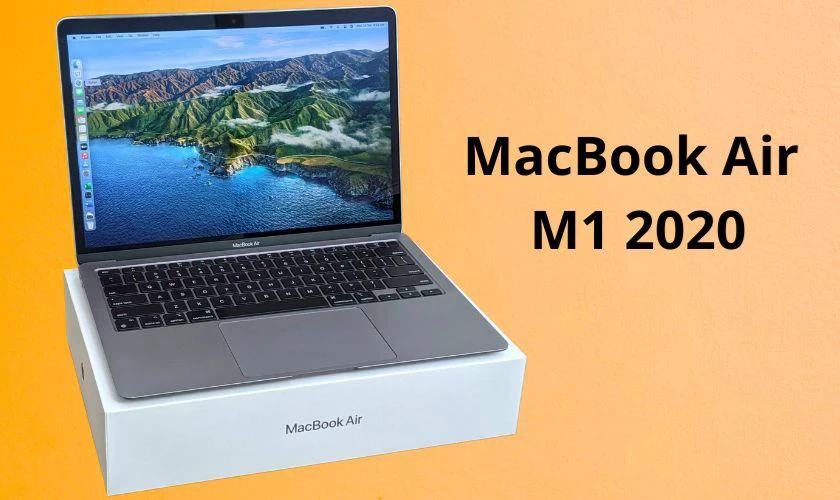 MacBook Air M1 2020 phù hợp cho sinh viên ngành kinh tế